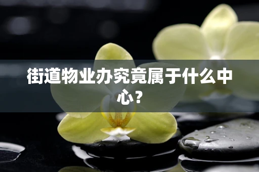 街道物业办究竟属于什么中心？