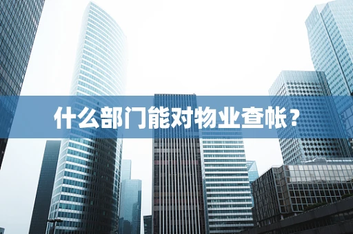 什么部门能对物业查帐？
