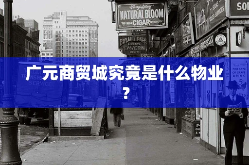 广元商贸城究竟是什么物业？