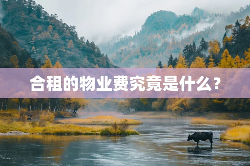 合租的物业费究竟是什么？