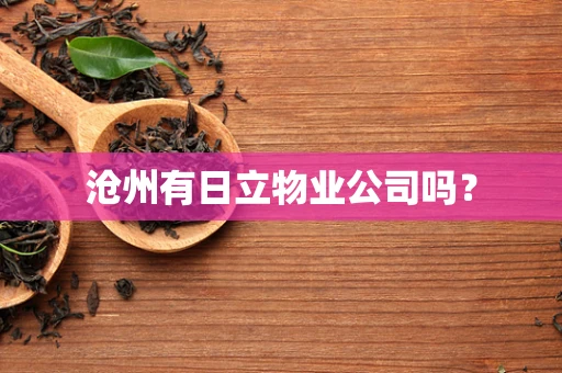 沧州有日立物业公司吗？
