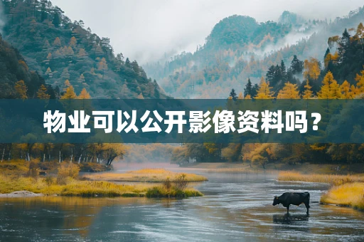 物业可以公开影像资料吗？