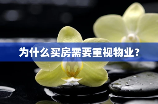 为什么买房需要重视物业？