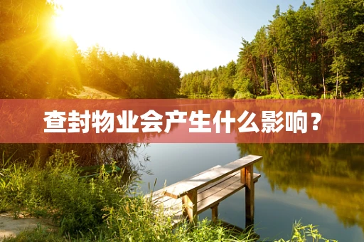查封物业会产生什么影响？