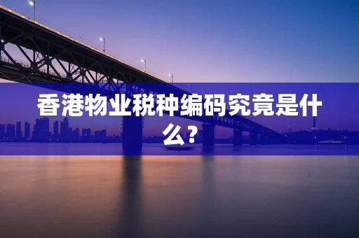 香港物业税种编码究竟是什么？
