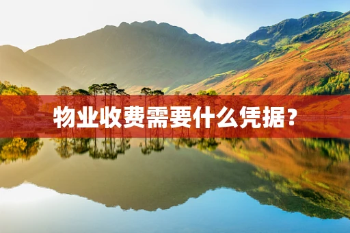 物业收费需要什么凭据？