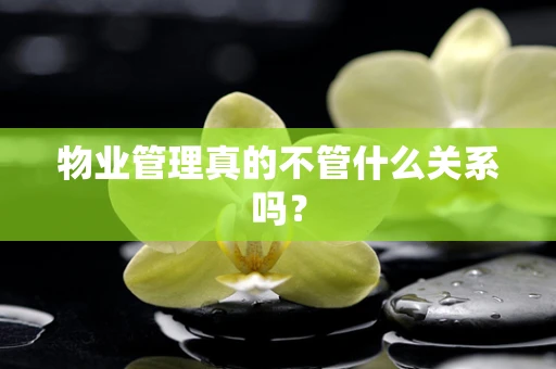 物业管理真的不管什么关系吗？