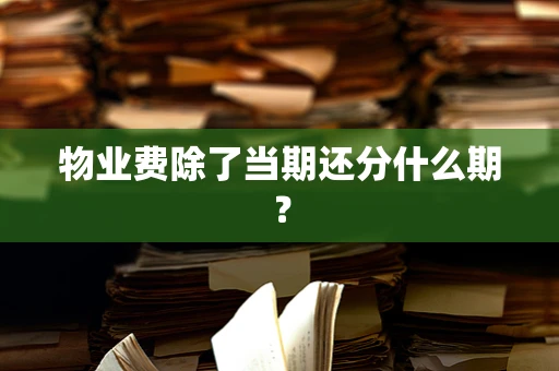 物业费除了当期还分什么期？