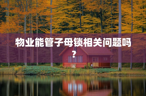 物业能管子母锁相关问题吗？