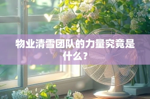 物业清雪团队的力量究竟是什么？