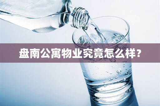 盘南公寓物业究竟怎么样？