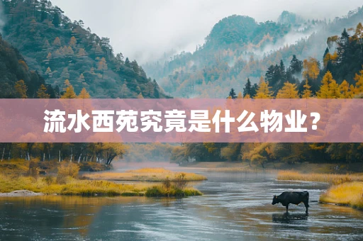 流水西苑究竟是什么物业？