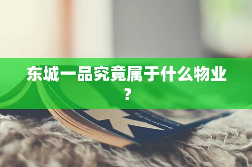 东城一品究竟属于什么物业？