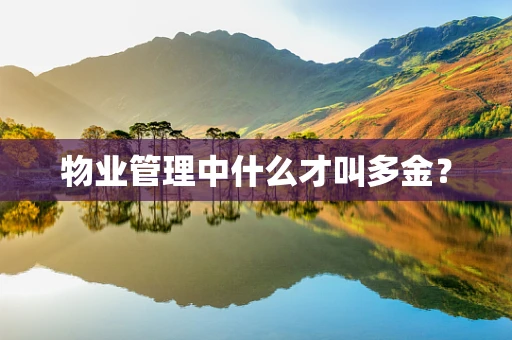 物业管理中什么才叫多金？