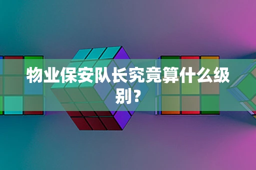 物业保安队长究竟算什么级别？