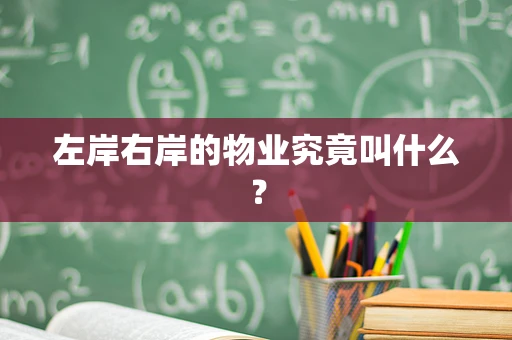 左岸右岸的物业究竟叫什么？