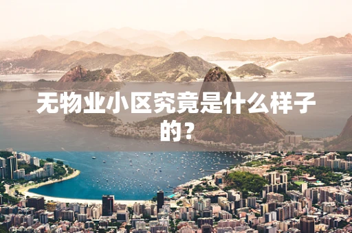 无物业小区究竟是什么样子的？