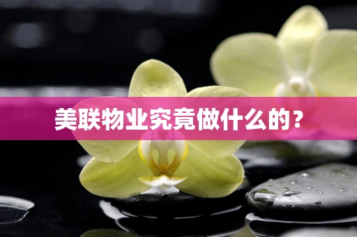 美联物业究竟做什么的？