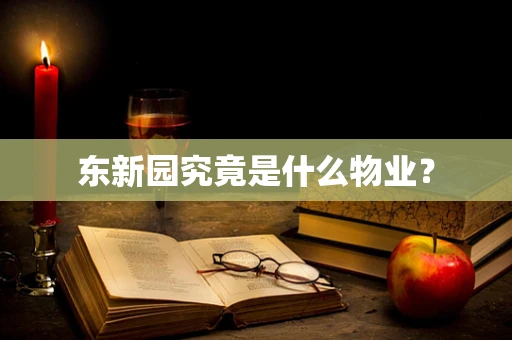 东新园究竟是什么物业？