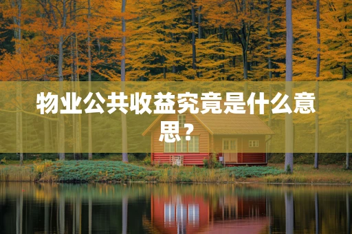 物业公共收益究竟是什么意思？