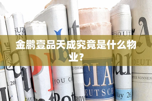 金鹏壹品天成究竟是什么物业？