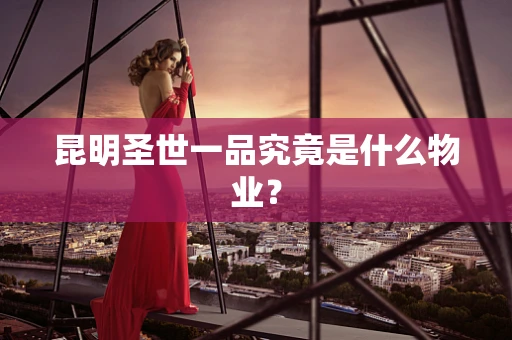 昆明圣世一品究竟是什么物业？