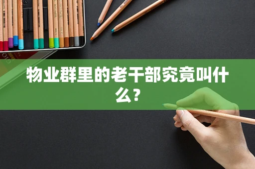 物业群里的老干部究竟叫什么？