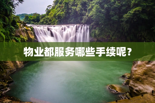 物业都服务哪些手续呢？