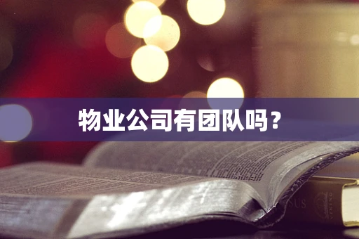 物业公司有团队吗？