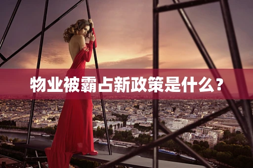 物业被霸占新政策是什么？