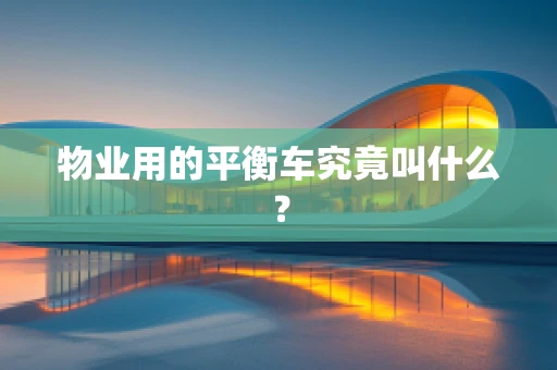 物业用的平衡车究竟叫什么？