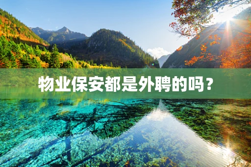 物业保安都是外聘的吗？