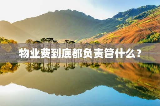 物业费到底都负责管什么？