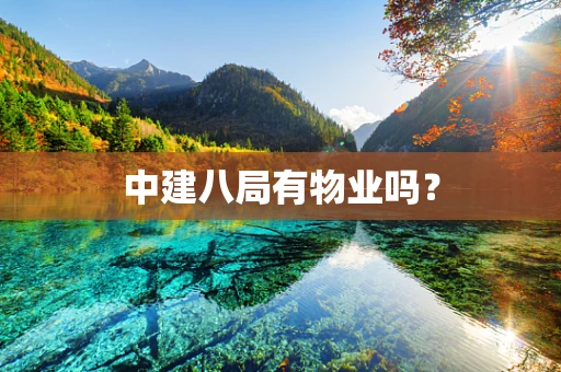 中建八局有物业吗？