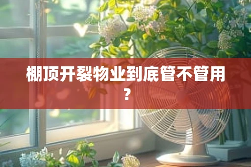 棚顶开裂物业到底管不管用？
