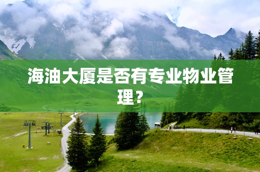 海油大厦是否有专业物业管理？