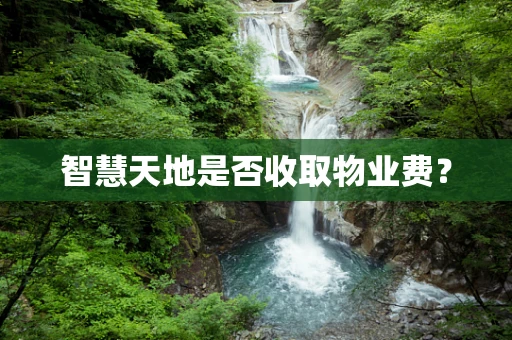 智慧天地是否收取物业费？