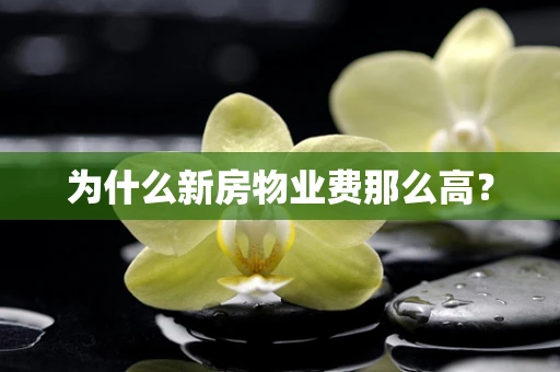 为什么新房物业费那么高？
