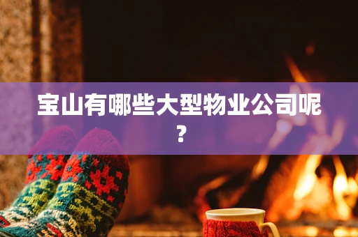 宝山有哪些大型物业公司呢？
