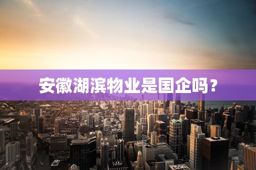 安徽湖滨物业是国企吗？