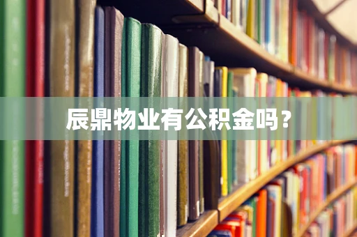 辰鼎物业有公积金吗？