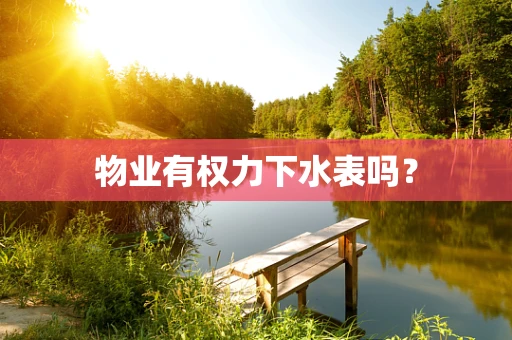 物业有权力下水表吗？