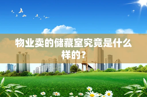 物业卖的储藏室究竟是什么样的？