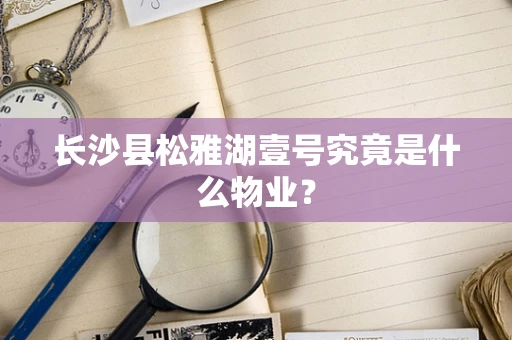 长沙县松雅湖壹号究竟是什么物业？