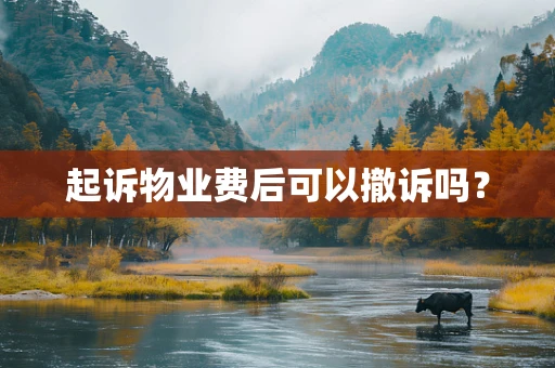 起诉物业费后可以撤诉吗？