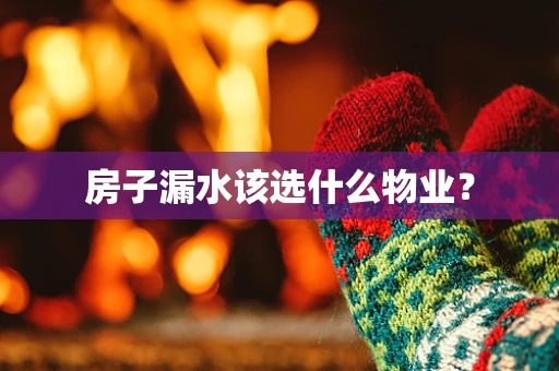 房子漏水该选什么物业？