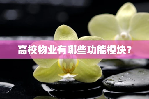 高校物业有哪些功能模块？