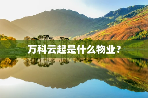 万科云起是什么物业？