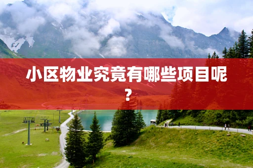 小区物业究竟有哪些项目呢？
