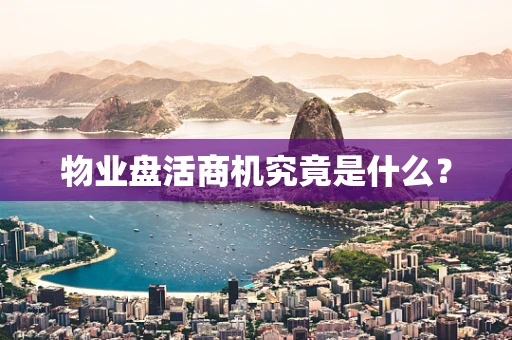 物业盘活商机究竟是什么？